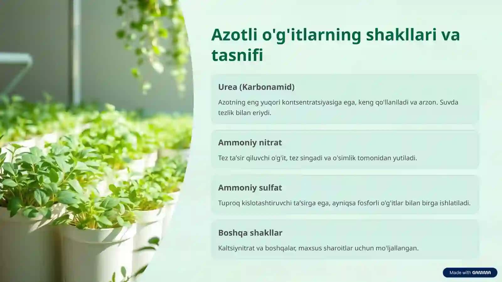 Azotli o'g'itlar: Qishloq xo'jaligidagi ahamiyati 2