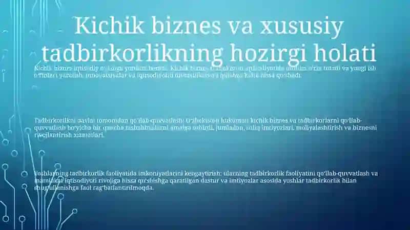 O'Zbekistonda Kichik Biznes Va Xususiy Tadbirkorlikning Holati Va Uni Rivojlantirishda Yoshlarning Roli 2