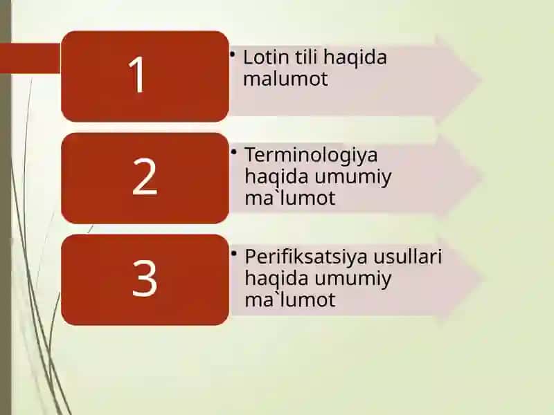 Perifiksatsiyausuli( oldqo`shimcha) 2