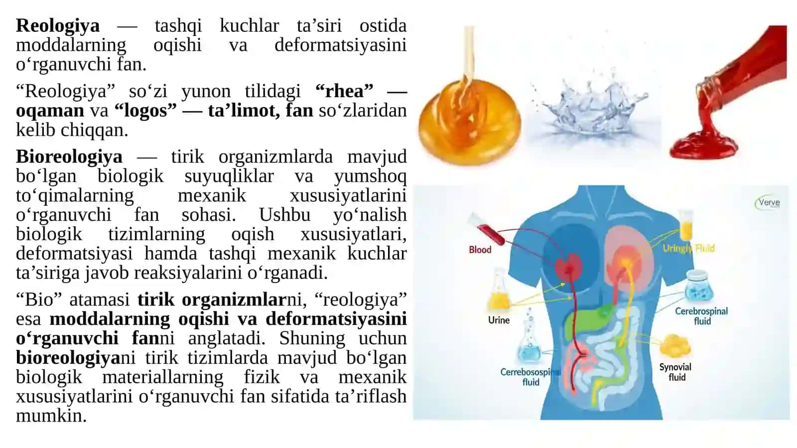 Gemodinamika. Yurak Faoliyatining Fizikaviy Asoslari 2