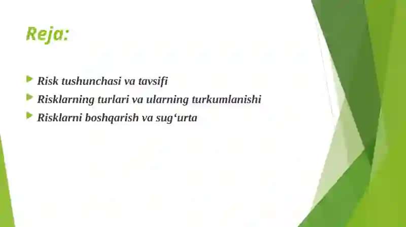 Sug'urta faoliyatidagi risklar 2