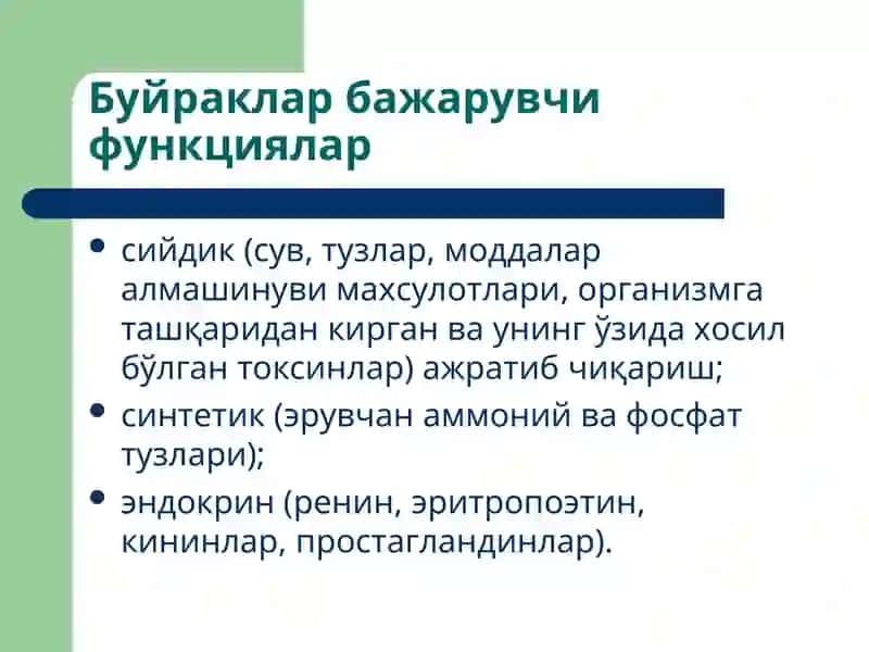Буйракларпатофизиологияси 2