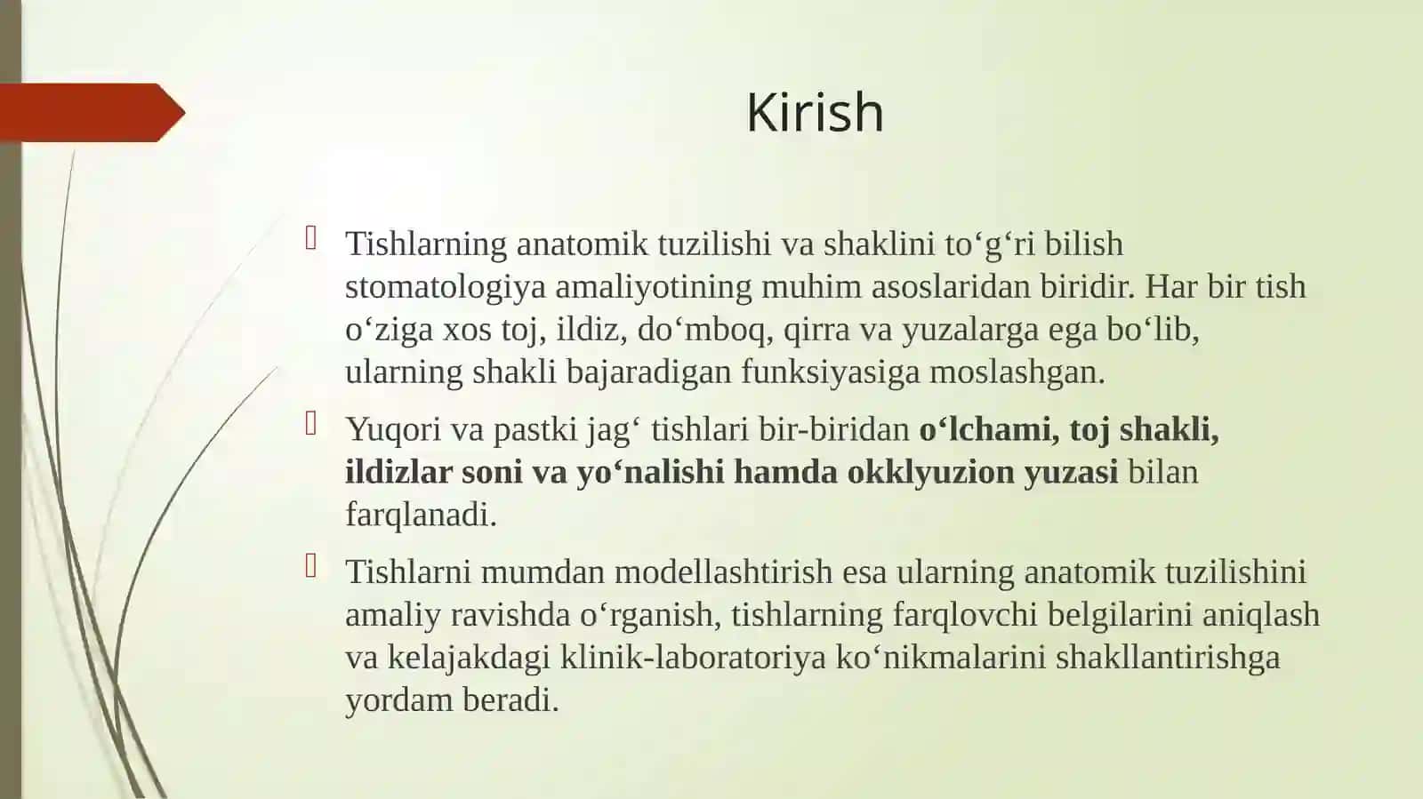 Yuqori va pastkijag‘tishlarining anatomik shaklini muddatli modellashtirish 2