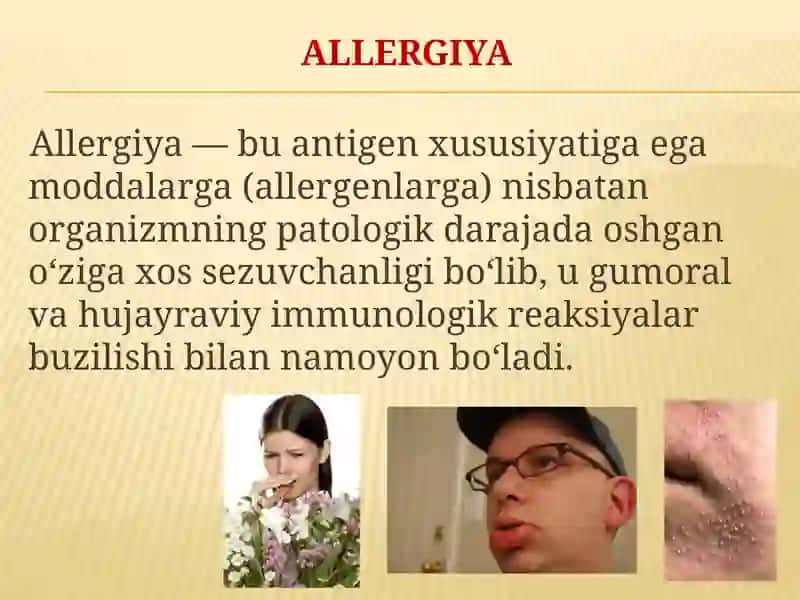 Allergiya 2