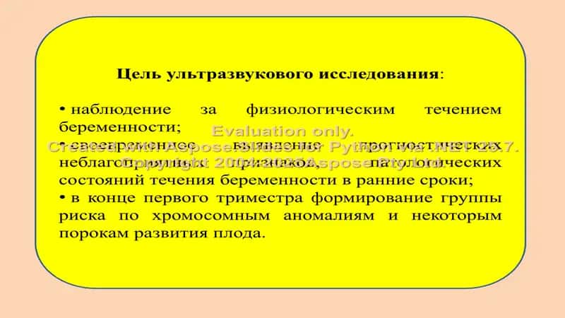 Ультразвуковое исследование в первом триместре беременности 2