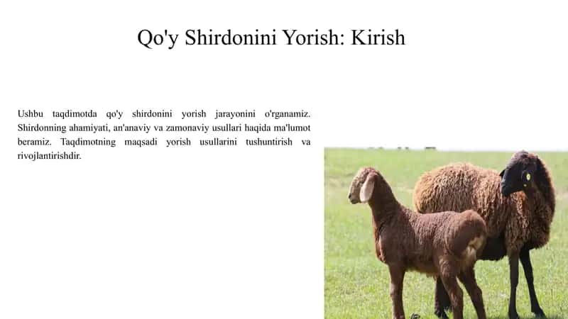 Qo’y shirdonini yorish 2