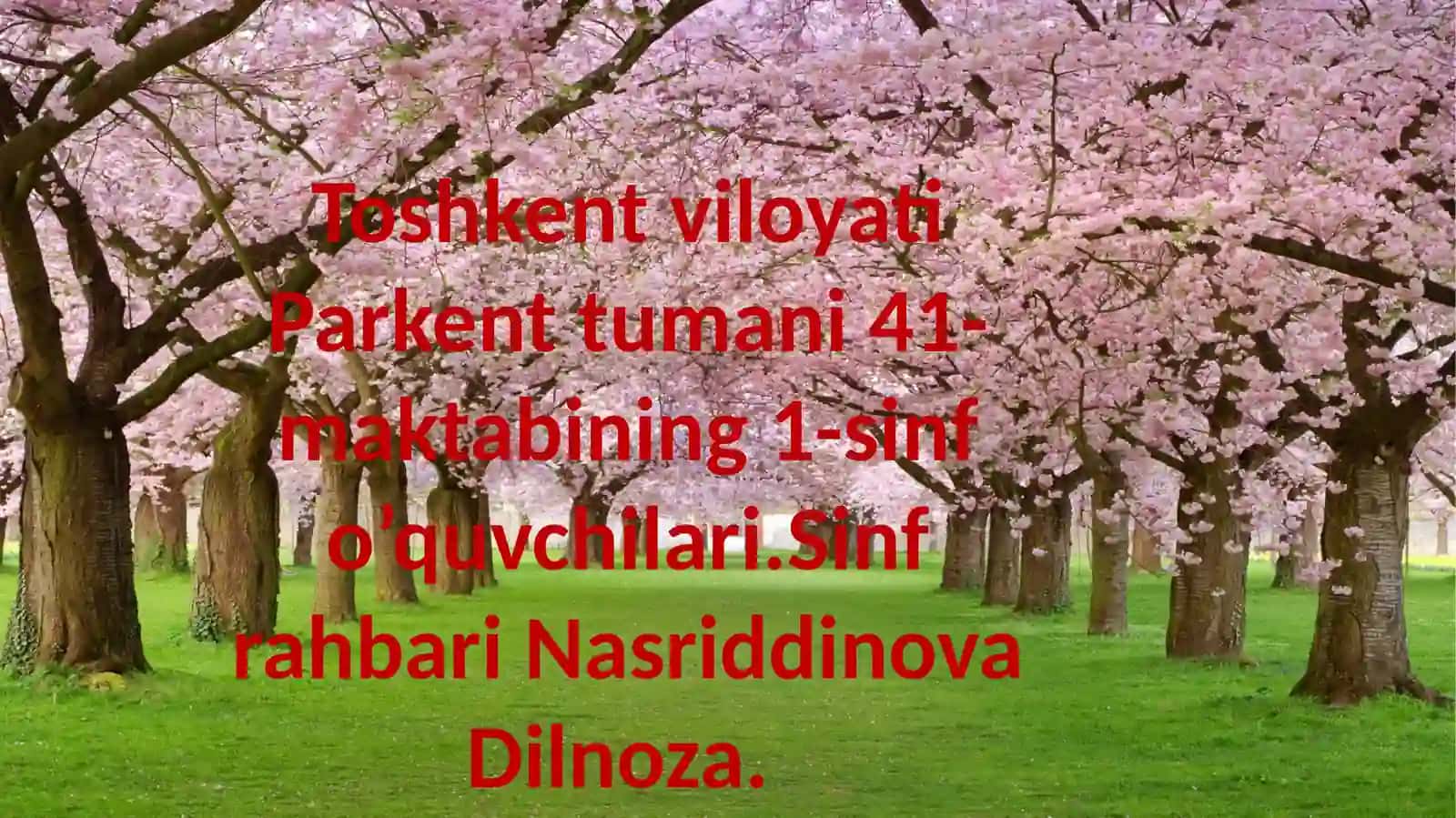 41-maktabining 1-sinfo’quvchilari 2