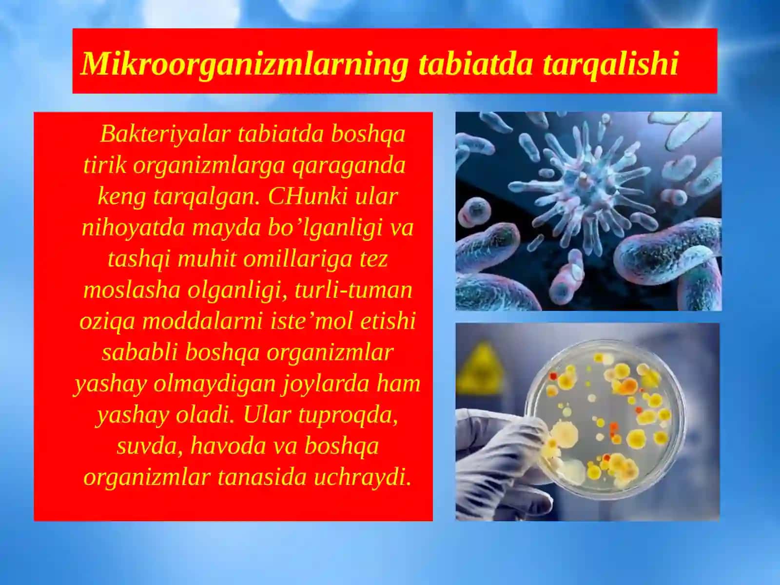Biosfera va mikroorganizmlar ekologiyasi 2