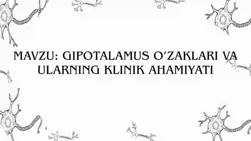 Gipotalamus o'zaklari va ularning klinik ahamiyati 2