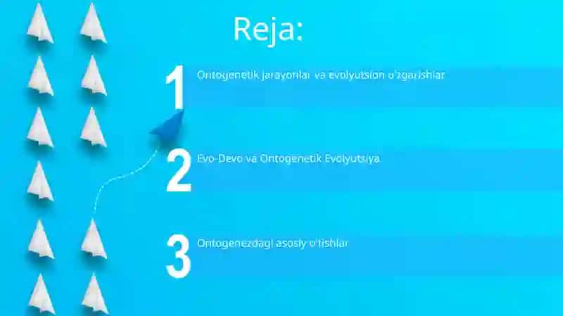 Ontogenez evolyutsiyasi 2