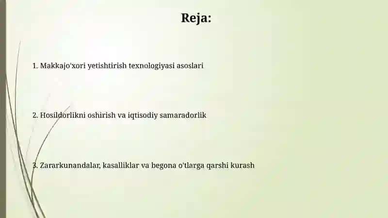 Makkajoʻxori yetishtirish texnalogiyasi 2
