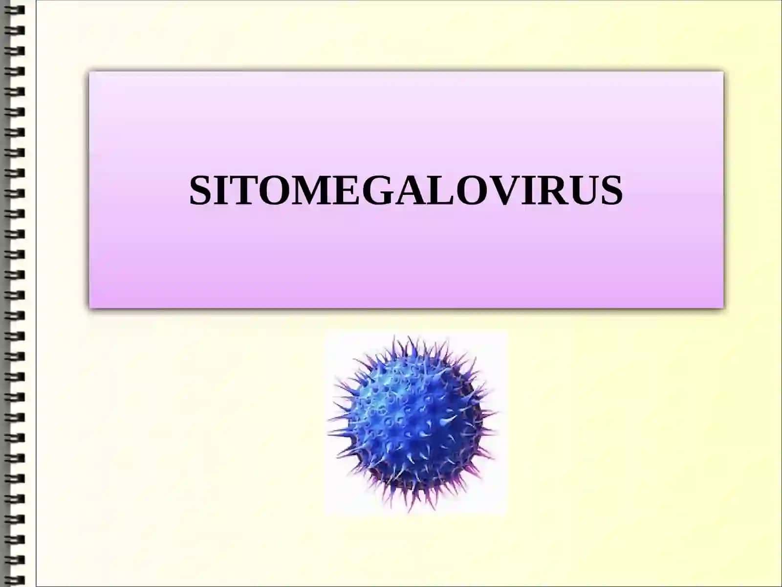 Jinsiy yo'l bilan yuquvchi infeksiyalar va sitomegalovirus 2