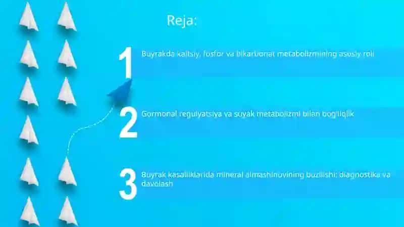 Buyrakning kalsiy, fosfor va bikarbonat almashinuvi 2