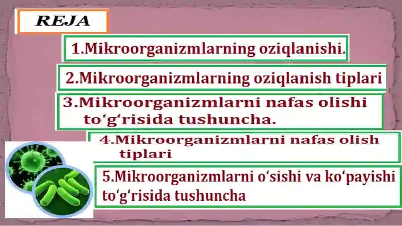 Mavzu:Mikroorganizmlar fiziologiyasi 2