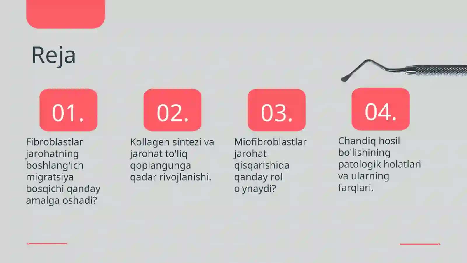 Fibroblastlarning jarohatning bitishi va chandiq hosil bo'lishdagi roli 2