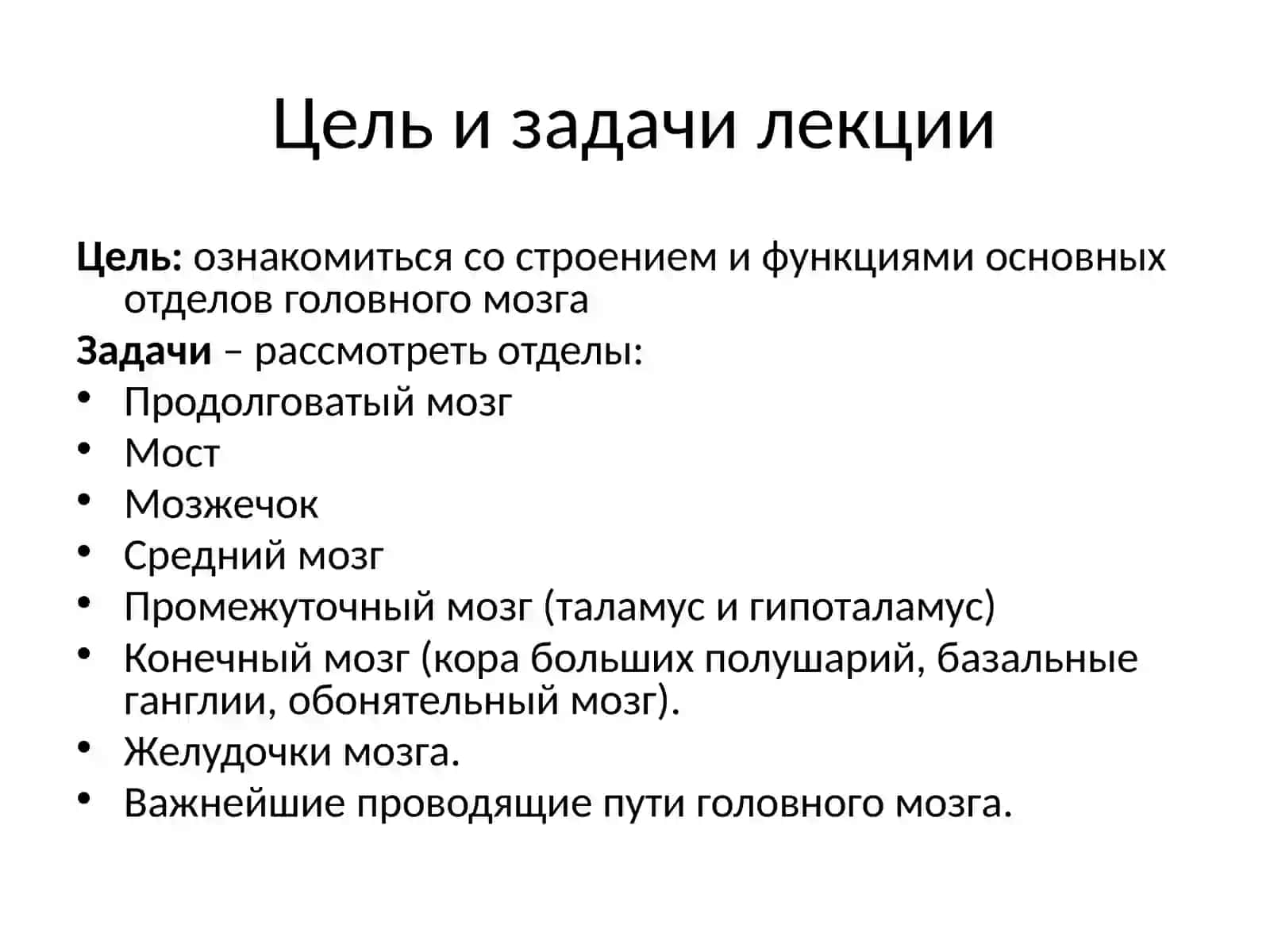 УП ОП 02. Анатомия и физиология человека. Головной мозг 2