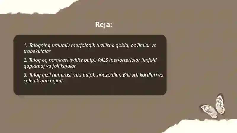 Taloq va limfa tuguni tuzilishi, T va B zonalar. Immunomorfologiya 2
