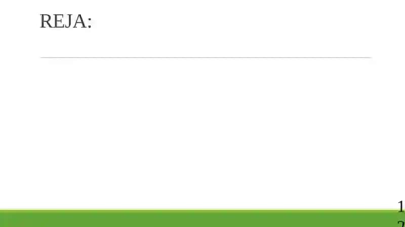 INTERNET TARMOG‘I VA UNDA ISHLASH ASOSLARI 2