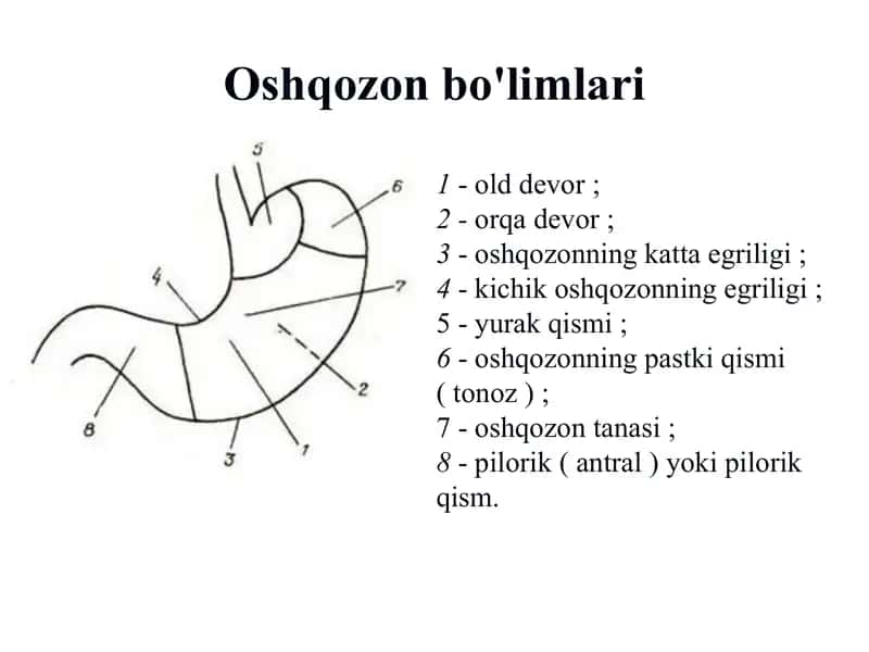 Oshqozon va o'n ikki barmoqli ichakning oshqozon yarasi asoratlari 2