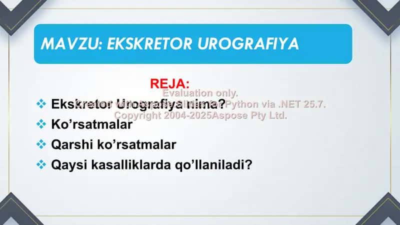 Ekskretor Urografiya 2