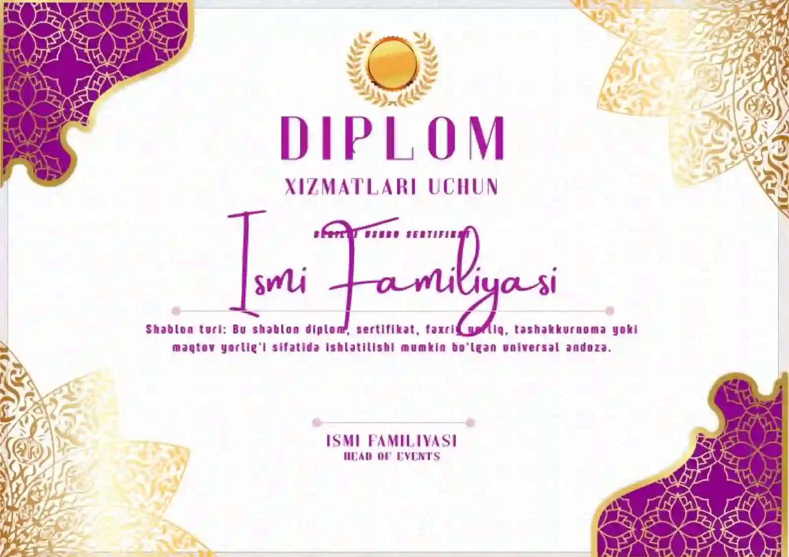 DIPLOM 2