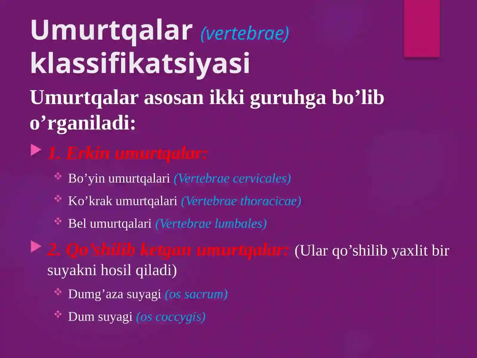 UMURTQALAR ANATOMIYASI PREZENTATSIYA 2