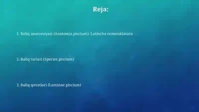 Tish anatomiyasi (Lotin tilida) Nomlanishi. Turlari. Qavatlari 2