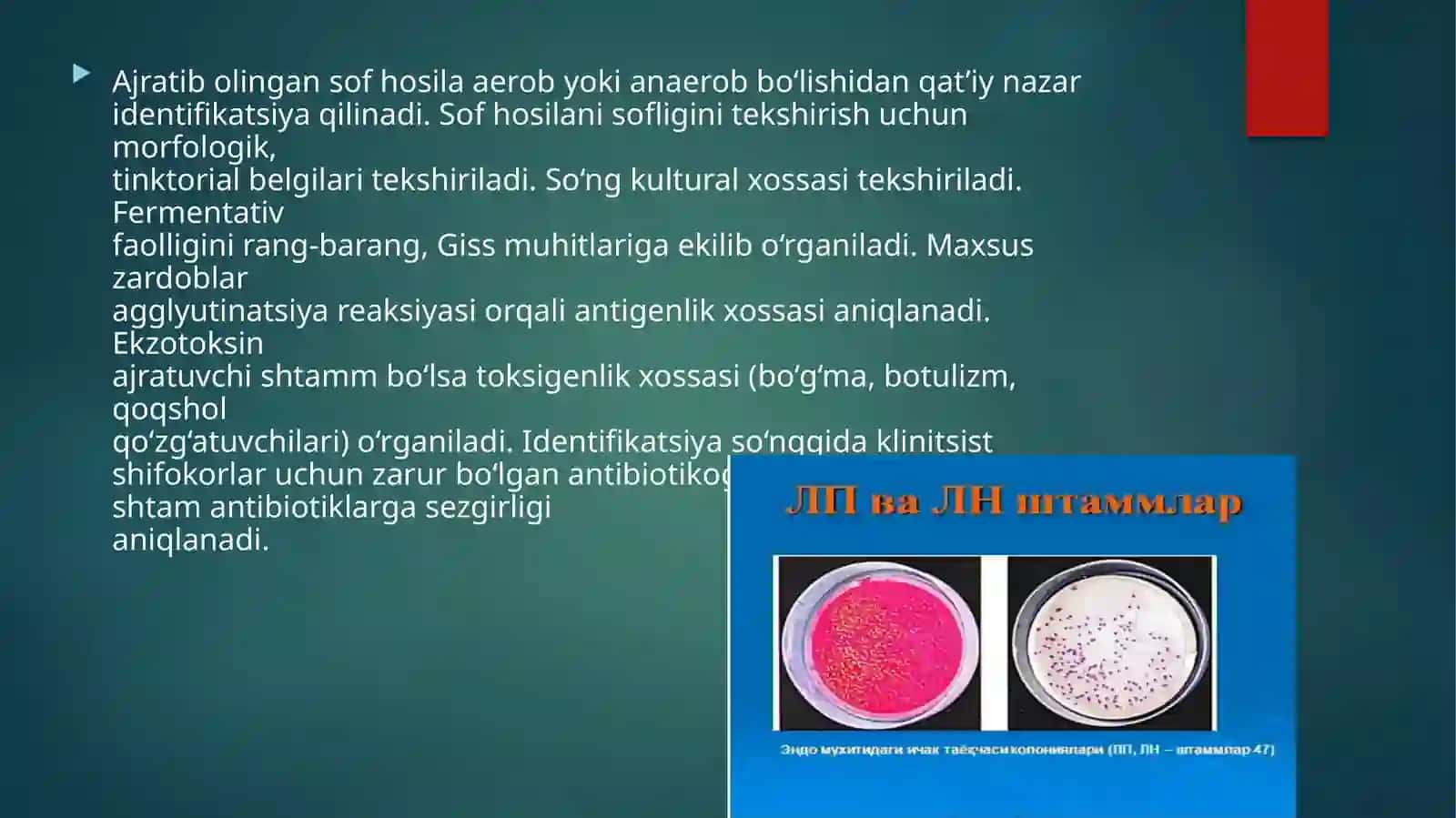 Aerob va anaerob bakteryalarni soft xosilasini ajratish bosqichlari 2