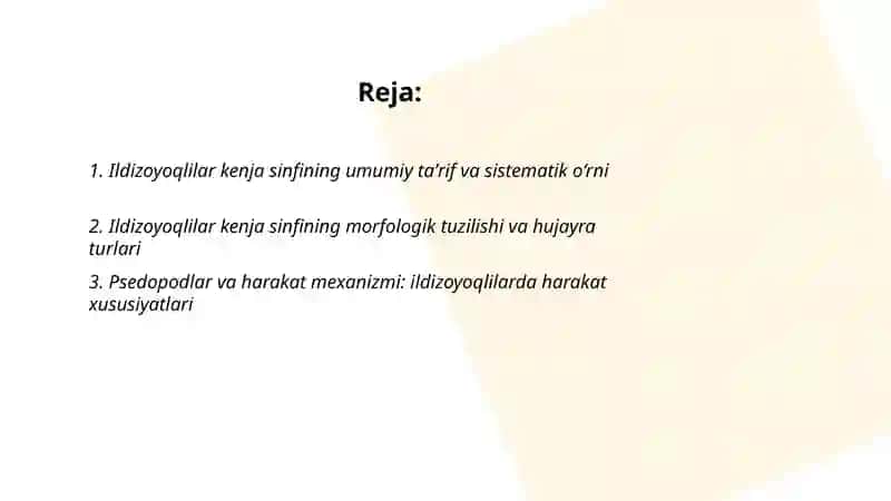 Ildizoyoqlilar kenja sinfi tuzilishi xususiyatlari, asosiy turkumlari va turlari, tarqalishi va ahamiyati 2