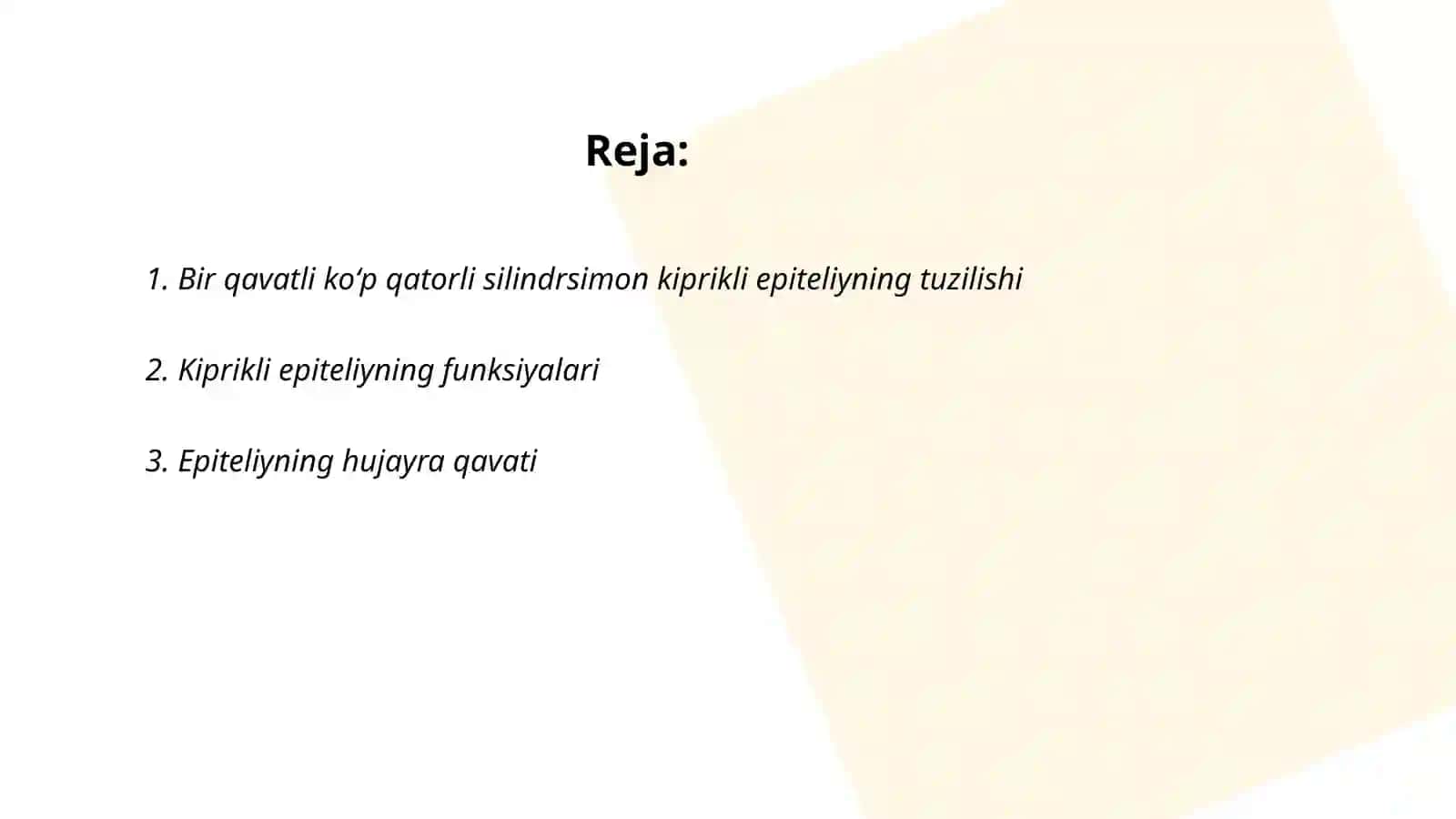Bir qavatli koʻp qatorli silindrsimon kiprikli epiteliyning tuzilishi 2