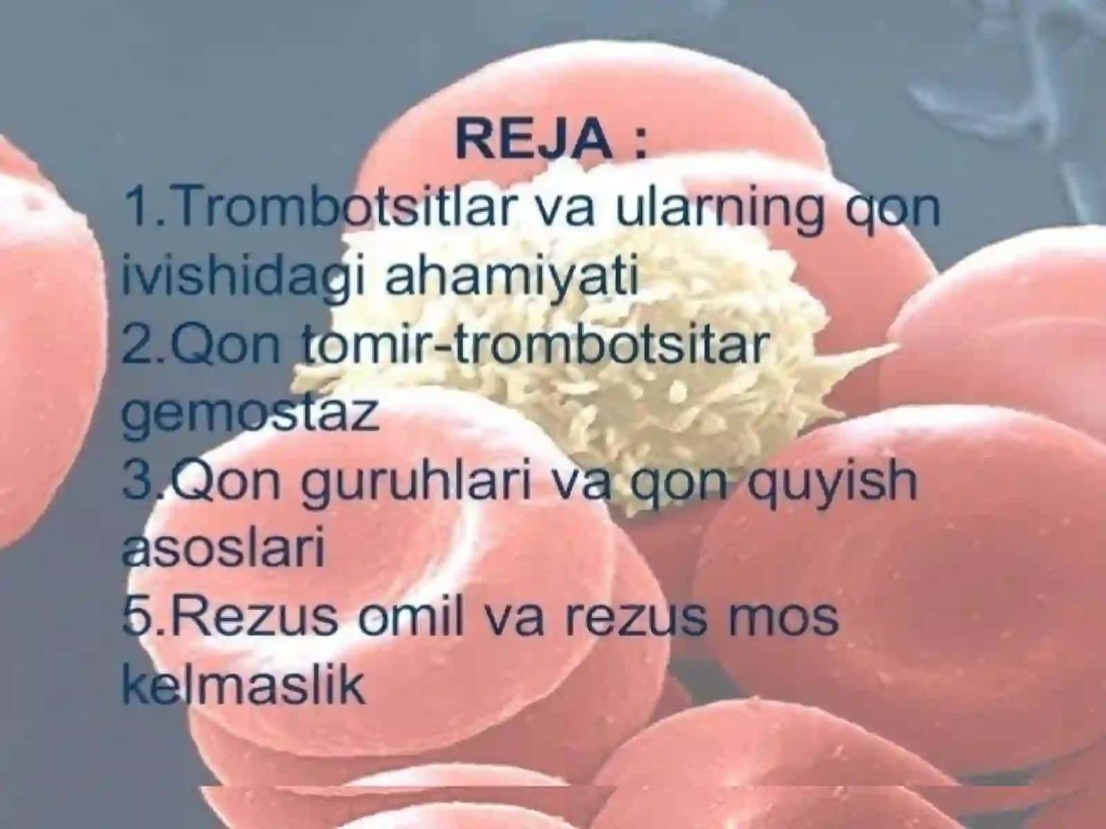 MaruzaQonivishi.Qonguruhlari.Rezusomili. Тромбоциты 2