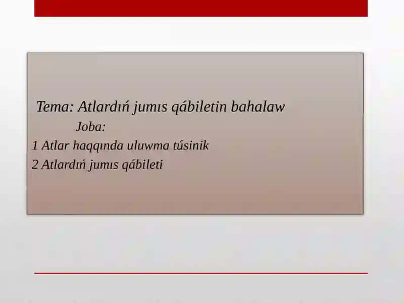 Nókis Filiali - Ta'lim Baǵdari 2