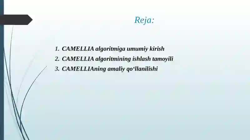 CAMELLIA shifrlash algoritmi. 2