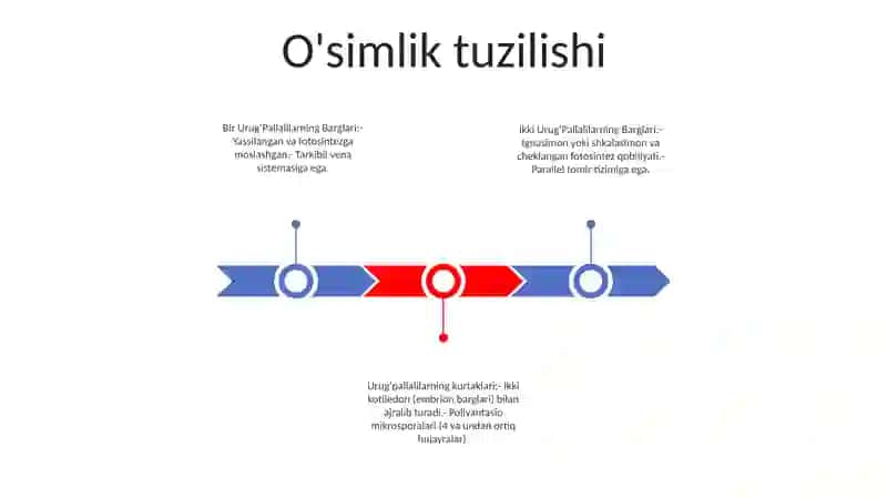 Ikki UrugʻPallalilar Va Bir UrugʻPallalilar Vakillari Orasidagi Farqli Belgilar 2