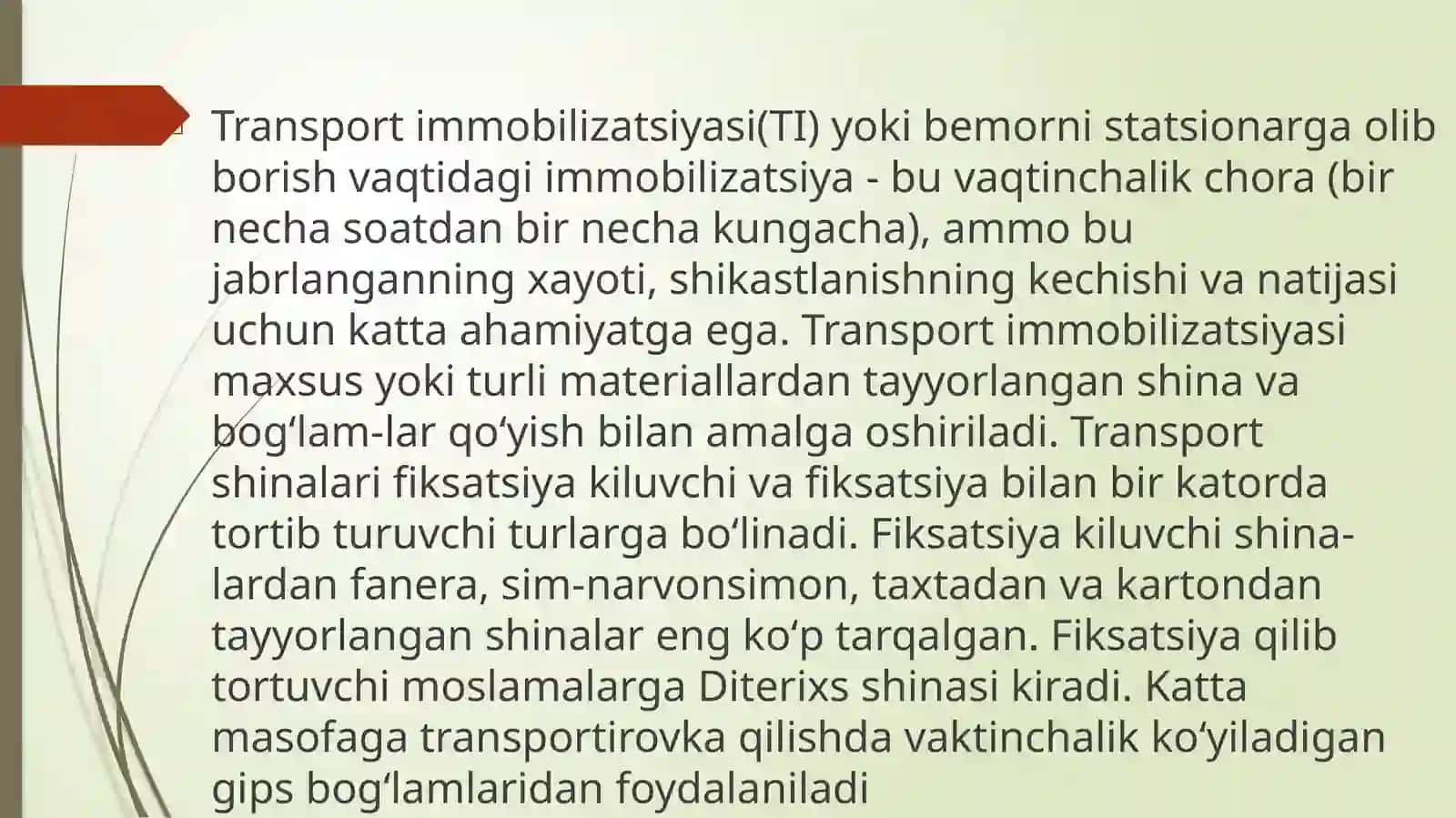 TRANSPORTIMMOBILIZATSIYA 2