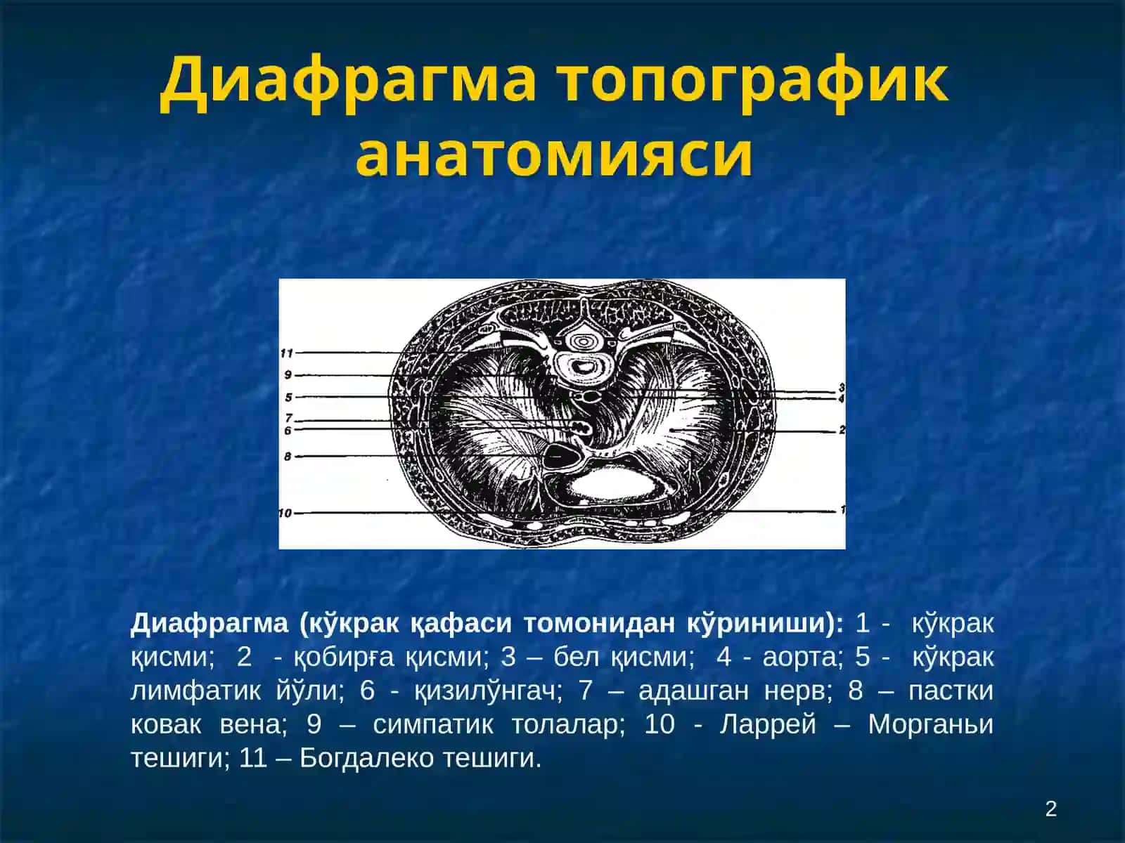 Диафрагма 2