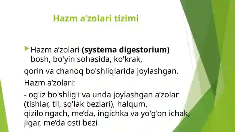 Hazma’zolari Tuzilishi 2