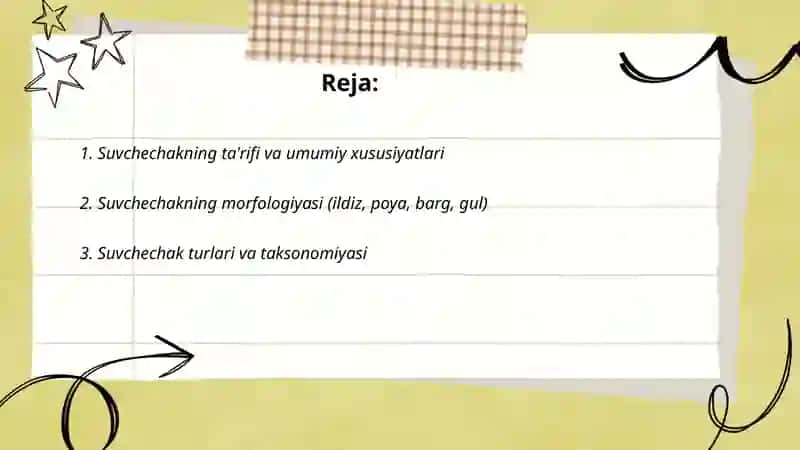 Suvchechak 2