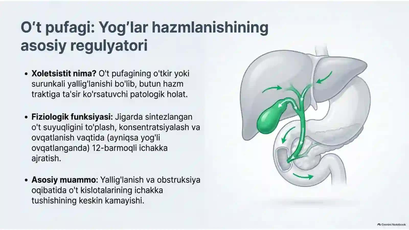 Xoletsistitlarda yog‘lar hazmlanishining buzilishi — 15 slayd 2