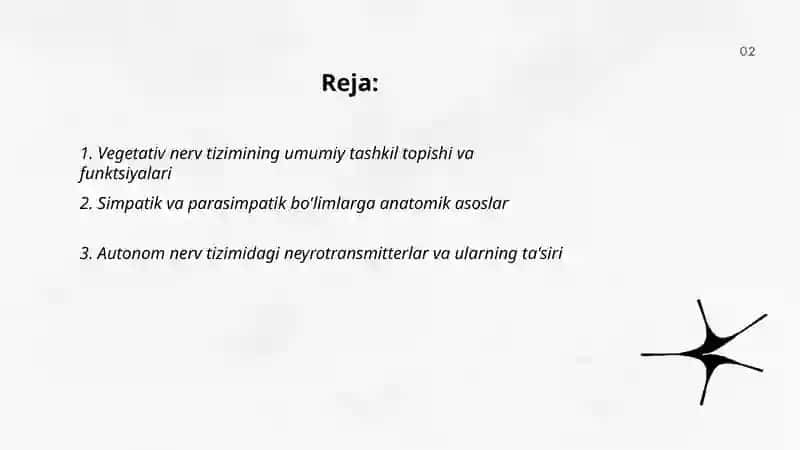 Vegetativ nerv tizimi fiziologiyasi 2