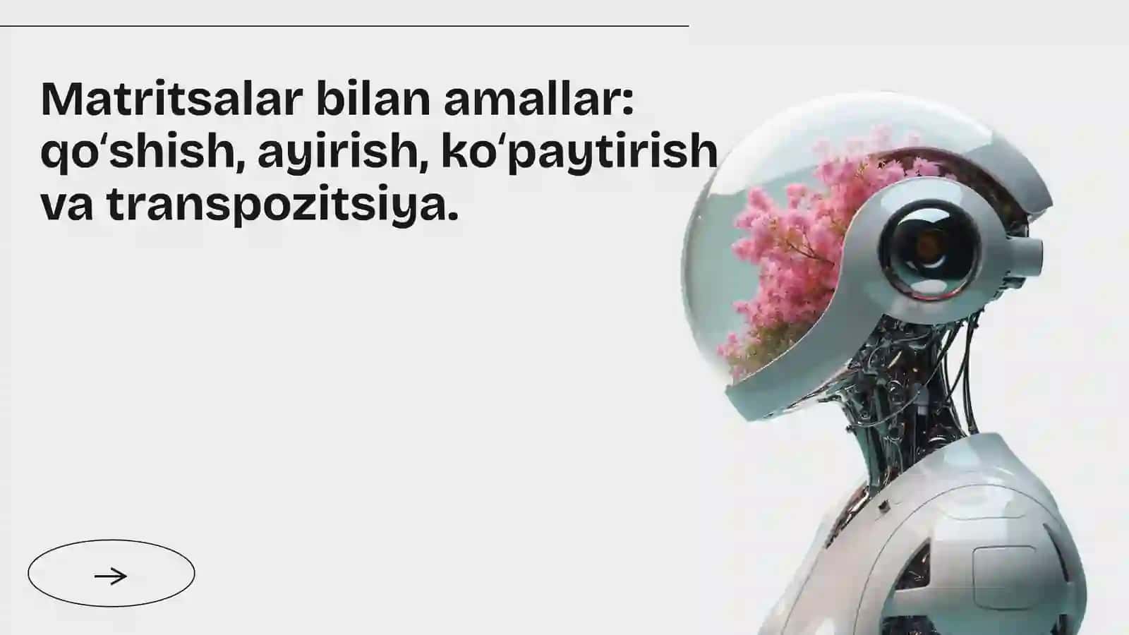 Matritsalar bilan amallar 2