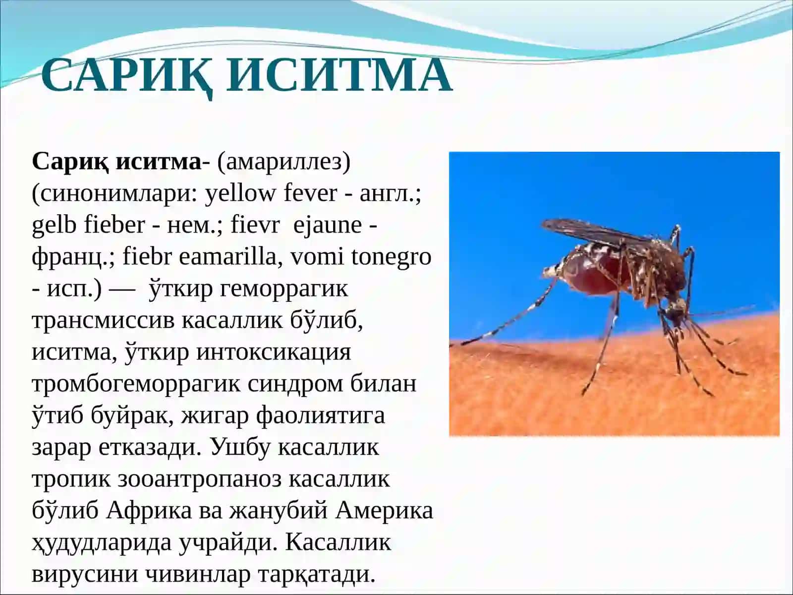 САРИҚ ИСИТМА 2