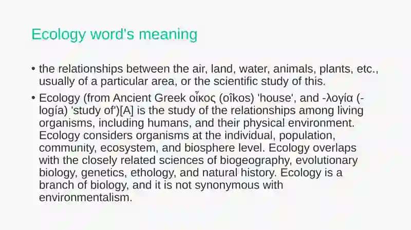 ecology and global problem 2
