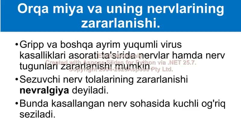 Nerv sistemasi kasalliklari va ularning oldini olish 2