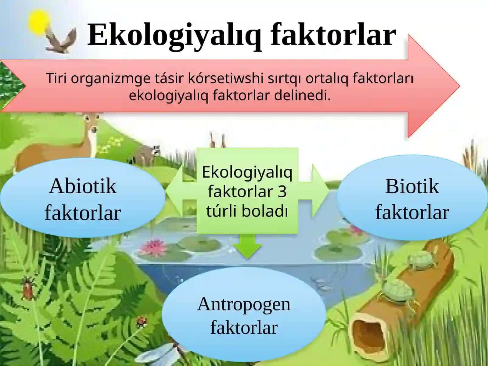 Ekologiyalıq faktorlar 2