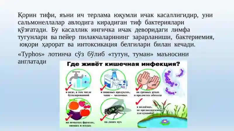 Қорин тифи 2