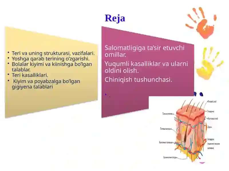 Terianalizator 2
