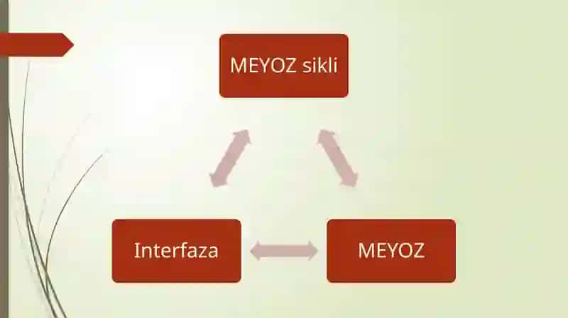 Hujayralarning mEyotik sikli. MITOZ VA MEYOZ PATOLOGIYASI. 2