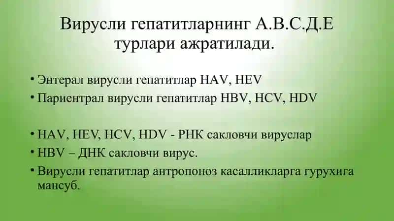 Вирусли гепатитлар 2