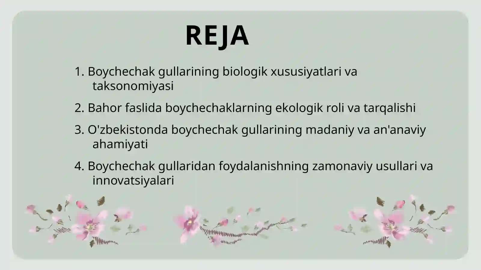 BOYCHECHAK GULLARI 2